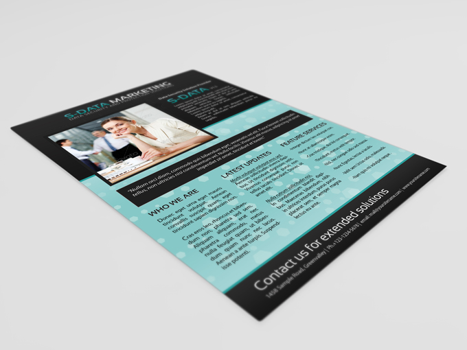 Business Solution Marketing Flyer