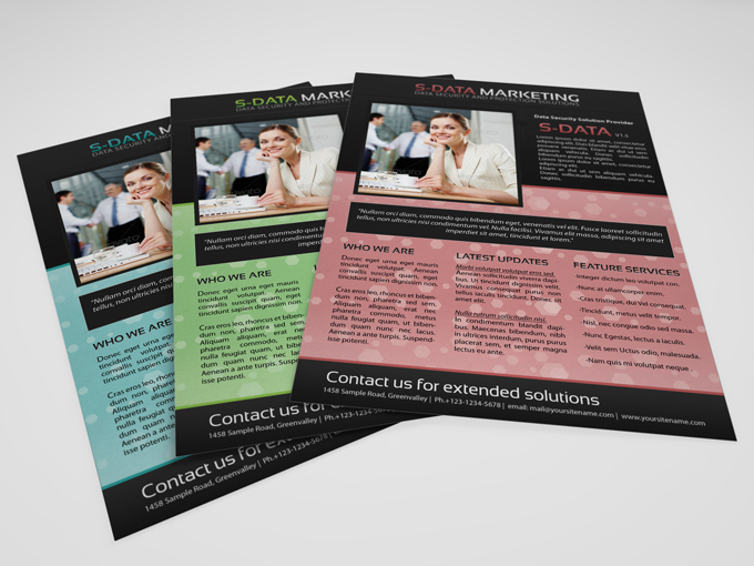 Business Solution Marketing Flyer