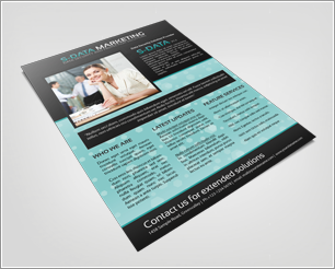 Business Solution Marketing Flyer