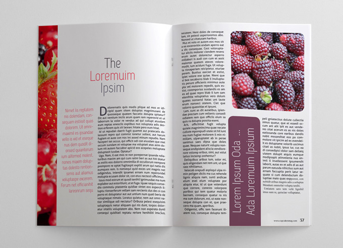 48 Pages Food Magazine Template