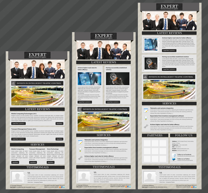 Expert Business Solution E-newsletter Template