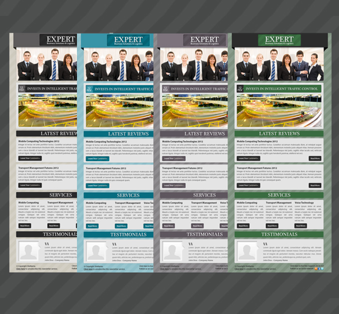 Expert Business Solution E-newsletter Template
