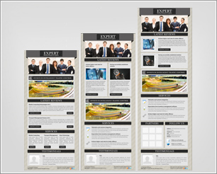 Expert Business Solution E-newsletter Template