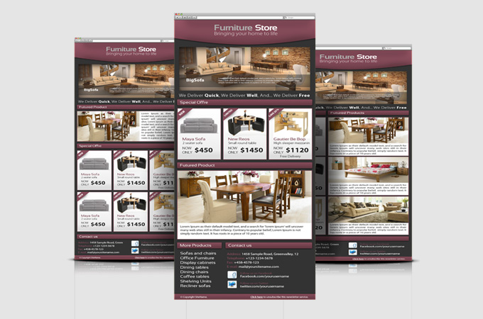 Professional Furniture Store E-newsletter template