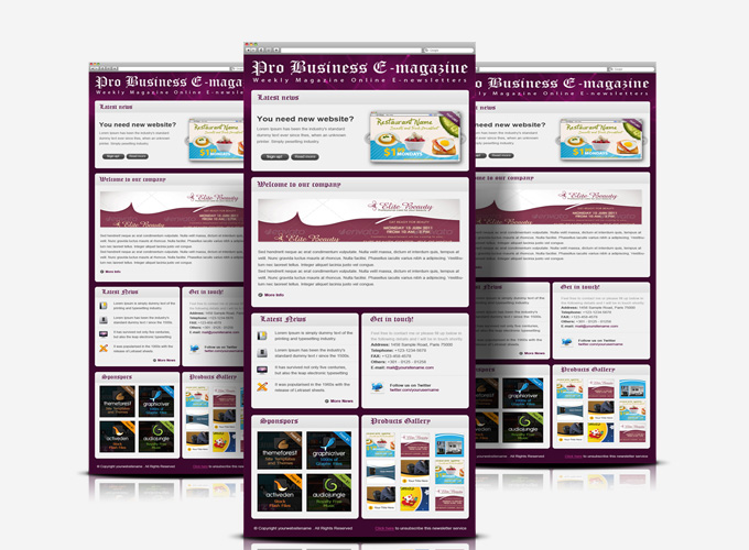 Professional Business E-Magazine newsletters
