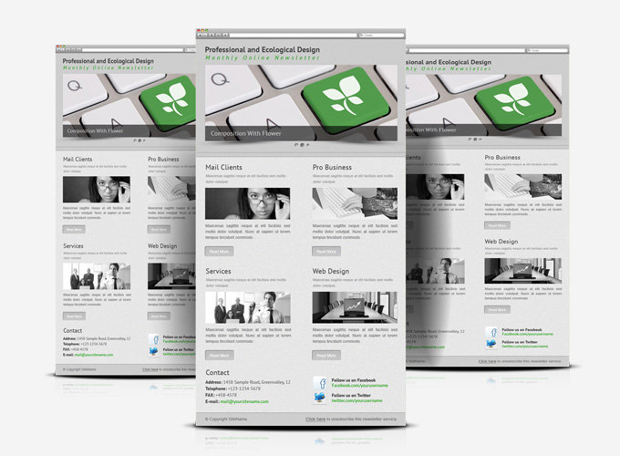 Minimalist professional service E-newsletter