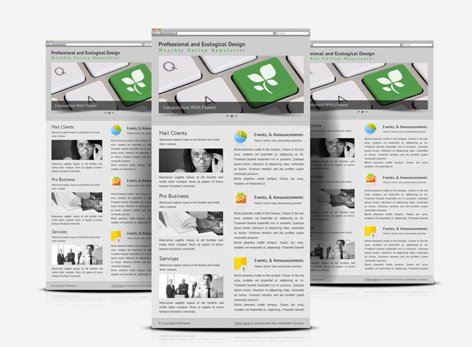 Minimalist professional service E-newsletter