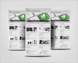 Minimalist professional service E-newsletter