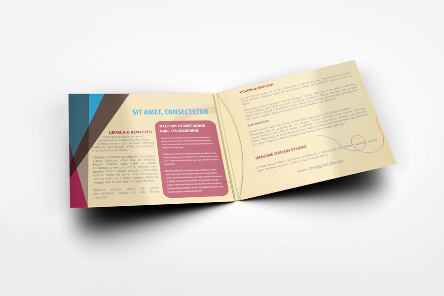 4 Panel CD Sleeve Mockup