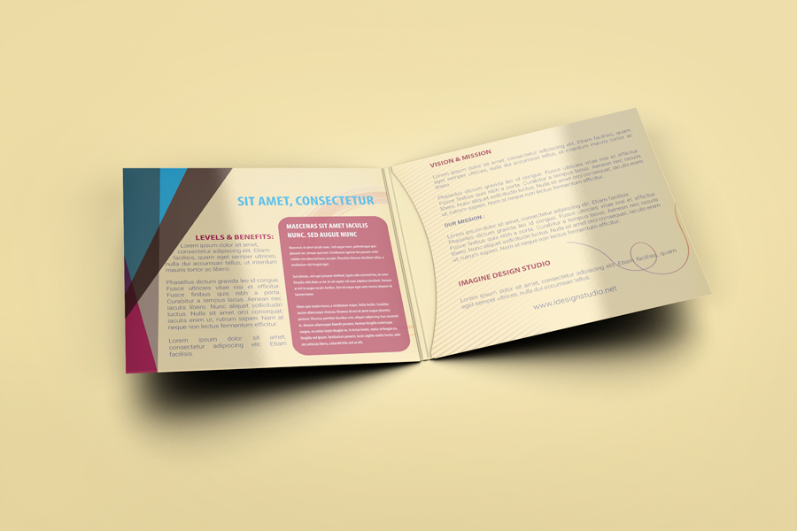 4 Panel CD Sleeve Mockup